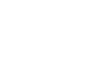 The New School Logo